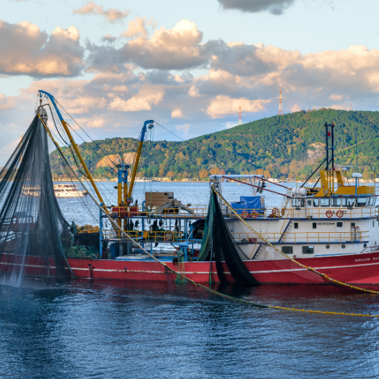A red and white commercial fishing ship in the water with a lush mountain in the background to depict the fishing net detector created by electrical engineering.