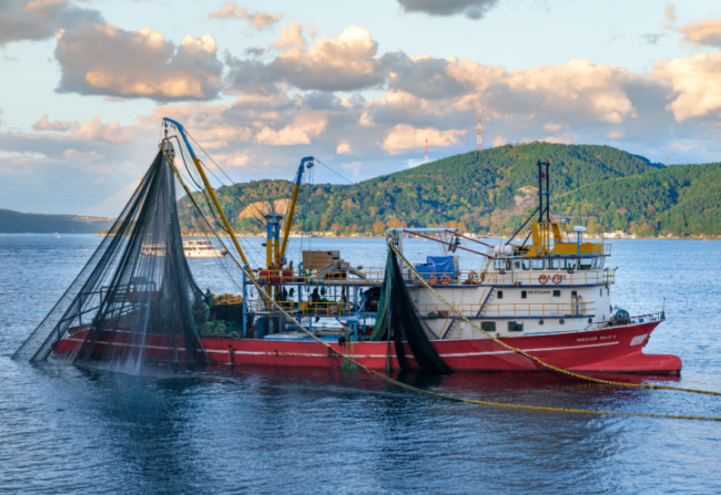A red and white commercial fishing ship in the water with a lush mountain in the background to depict the fishing net detector created by electrical engineering.