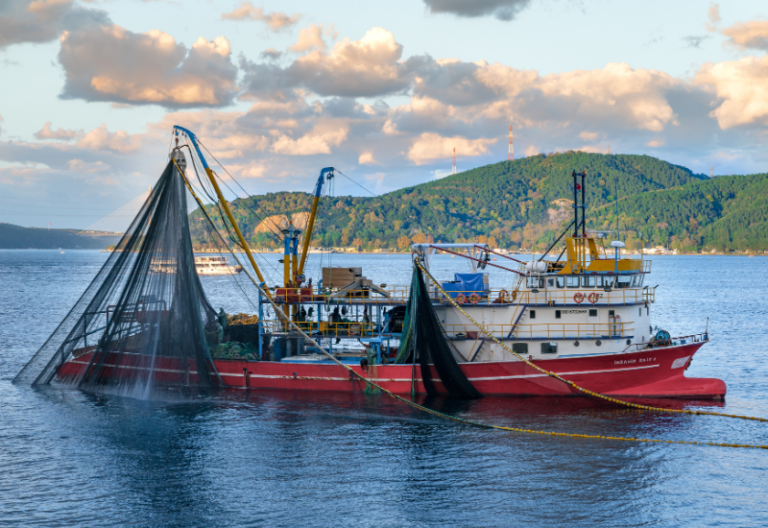 A red and white commercial fishing ship in the water with a lush mountain in the background to depict the fishing net detector created by electrical engineering.